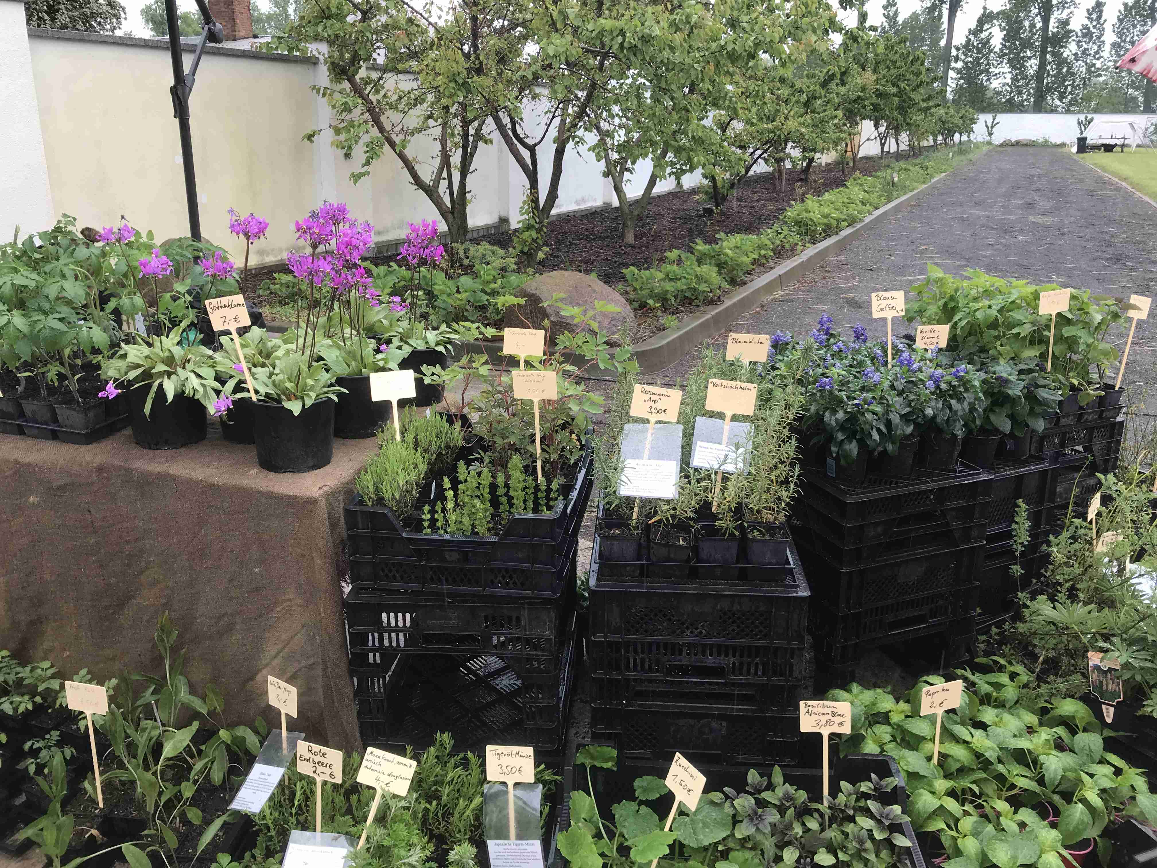 Bahrendorfer Gartenmesse Schloss Bahrendorf